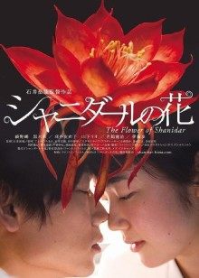 Hokunaimeko – 14套合集 [875P+1V/2.39G]